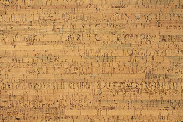 Light brown cork wood panel - background