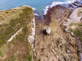 Aerial view of a rocky beach on the coast with nature around it and a giant rock with waves lapping on the rocks