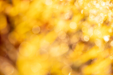 Golden blur abstract background. Yellow Bokeh Christmas blurred beautiful shiny Christmas lights.
