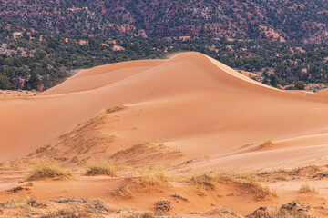 coral Pink Sand Dunes State Park