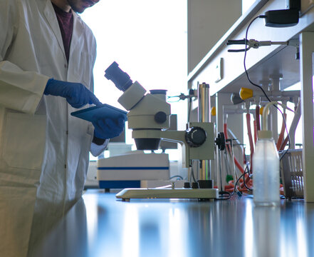 Young male scientist using digital tablet in laboratory, cropped surface level view