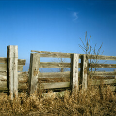 Fototapeta premium Weathered Gate. A weathered wooden fence corner gate in front of a rich blue blue sky with one little cirrus cloud and golden winter grass in the foreground. Near Greencastle, Missouri USA 1984. 