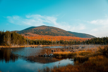 autumn in the mountains, Mont Gosford
