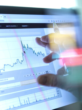 Stock broker analysing the performance of a company stock on the internet.