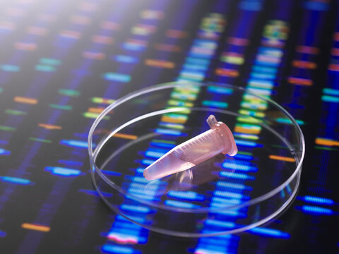 Close up of DNA samples in microcentrifuge tubes with the DNA profile on a monitor screen.