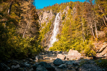 waterfall in the forest