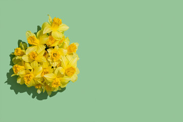 Bouquet of fresh spring daffodils on a green background. Bright yellow flowers with copy space. 
