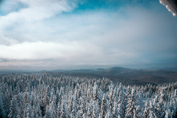 landscape in the mountains