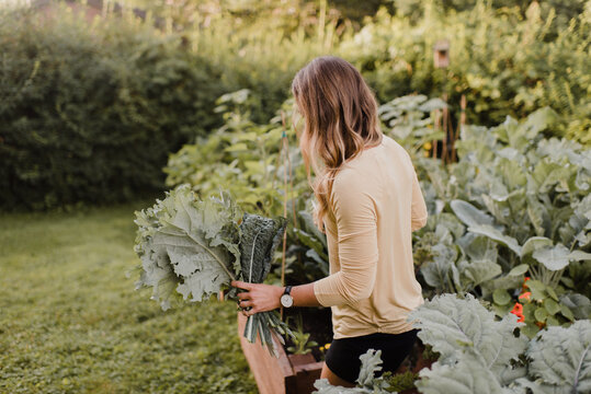  Woman tending to plants and vegetables in garden