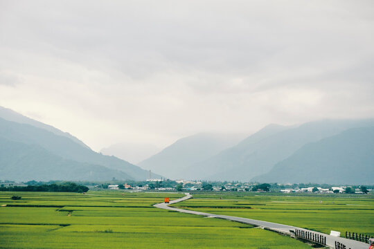 Paddy field, Chi Shang, Taiwan