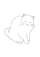 猫