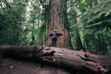 Woman hugging tree in forest, Cathedral Grove, British Columbia, Canada