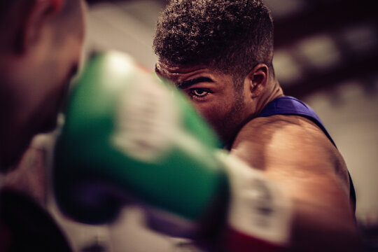 Close up of male boxer wearing green boxing gloves in boxing ring.