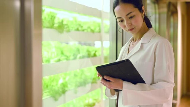 植物バイオテクノロジー研究をする女性研究員・レタスの水耕栽培設備