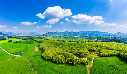 Fototapeta na wymiar Beautiful rural natural scenery in Hangzhou,China.