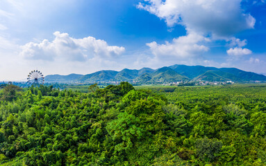 Fototapeta na wymiar Green forest and mountain under blue sky.
