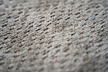 Light gray textured material, background. 