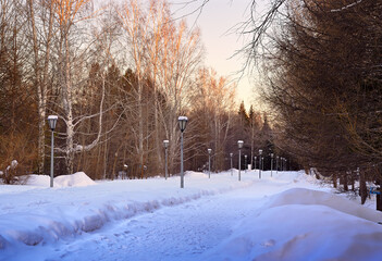 A path in a deserted winter park. Lanterns among the blue drifts of snow go into the distance, bare trees and birches. Novosibirsk, Siberia, Russia