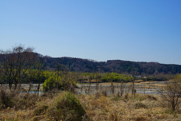 早春の多摩川　風景　山並み