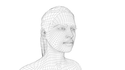 Wireframe portrait of a young beautiful girl © cherezoff