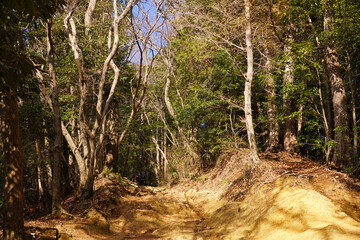 高尾山の登山道　稲荷山