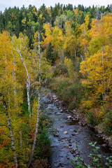 Caribou river flowing through the Superior National forest in the fall.