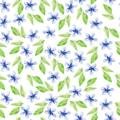 watercolor pattern with blue flowers and green leaves on a white background