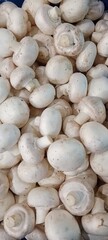 Champignon mushrooms in a box. Porcini mushrooms collected in a basket.