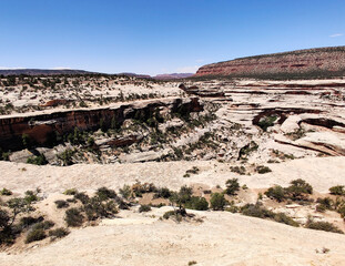 Stupefying Sapapu Bridge Overlook at National Bridge National Monument in Utah
