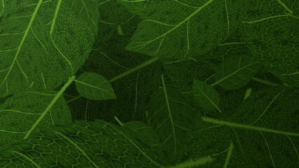 Mixed size of falling green leaf with dark background (3D Rendering)