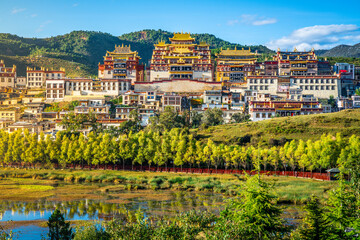 Songzanlin monastery and green nature at sunset and blue sky Shangri-La Yunnan China - obrazy, fototapety, plakaty