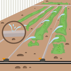 Hose, drip irrigation, water. Watering plants in the garden or vegetable garden. The concept of carrying out field work in agriculture. Soil reclamation. Vector

