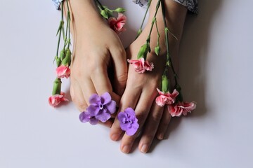 Obraz na płótnie Canvas Woman's hands with flowers entangled through her fingers. Close-up beautiful sophisticated female hands with flowers on white background Concept hand care, anti-wrinkles, anti-aging cream, spa, spring