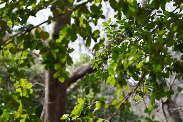 東京の公園の風景