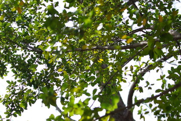 東京の公園の風景