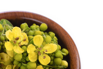 Senna siamea, flowers in a wooden cup isolated on white background.