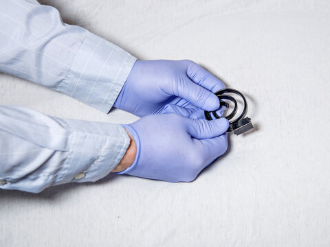 Veterinarian Holds Belt With His Hands In Purple Gloves