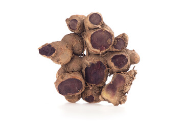 Black galingale rhizome isolated on white background.