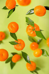 Fresh, ripe, juicy tangerines with leaves, falling or flying in the sunlight.