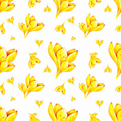 Hand drawn watercolor seamless floral pattern with yellow orange ochre crocus saffron flowers 3017