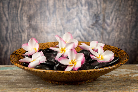 Black rocks and plumeria flwers on an old wood background.