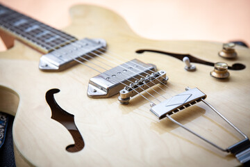 Naklejka premium epiphone casino