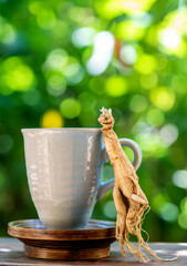 Dried ginseng on nature background.