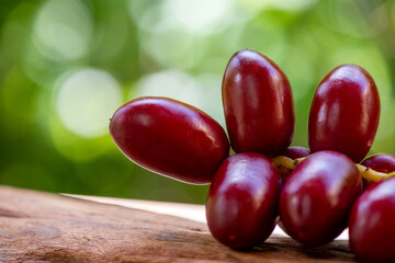 Date Palm fruits on nature background.