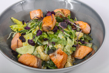 Tasty Salad with roasted salmon