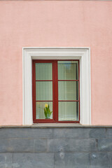 Fototapeta na wymiar A lonely window against the pink wall and a flower on the windowsill.
