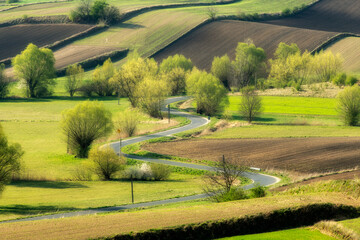 Beautiful spring rural landscape with green fields