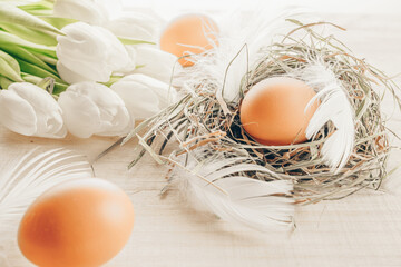 Natural easter colour eggs in basket with spring tulips, white feathers on wooden table background in Happy Easter decoration. Spring holiday concept.