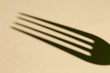 Shadow of fork on color background