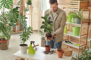 Young man taking care of plants at home